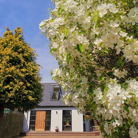 Hastings Casita, 'Little House' Self Contained Garden Lodge, Close To Town And Seafront Exterior foto