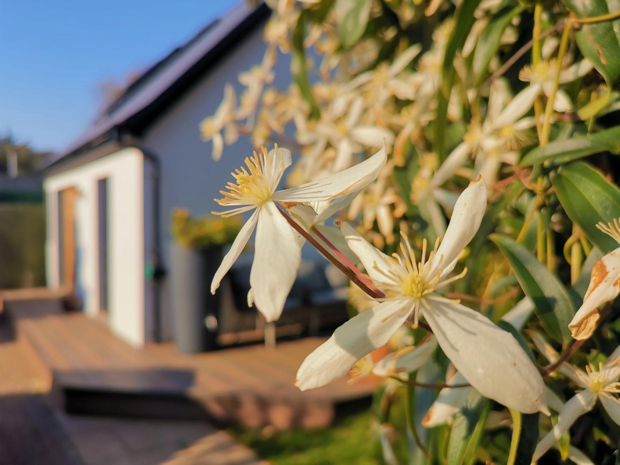 Hastings Casita, 'Little House' Self Contained Garden Lodge, Close To Town And Seafront Exterior foto